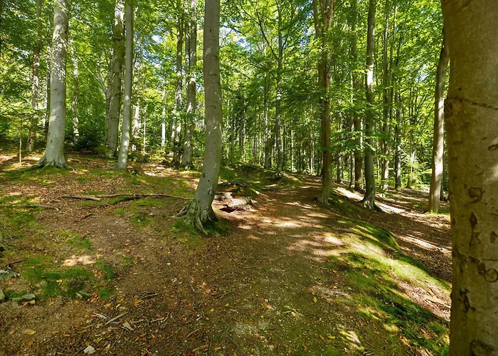 Gorski Z Widokiem I Parkingiem By Renters *